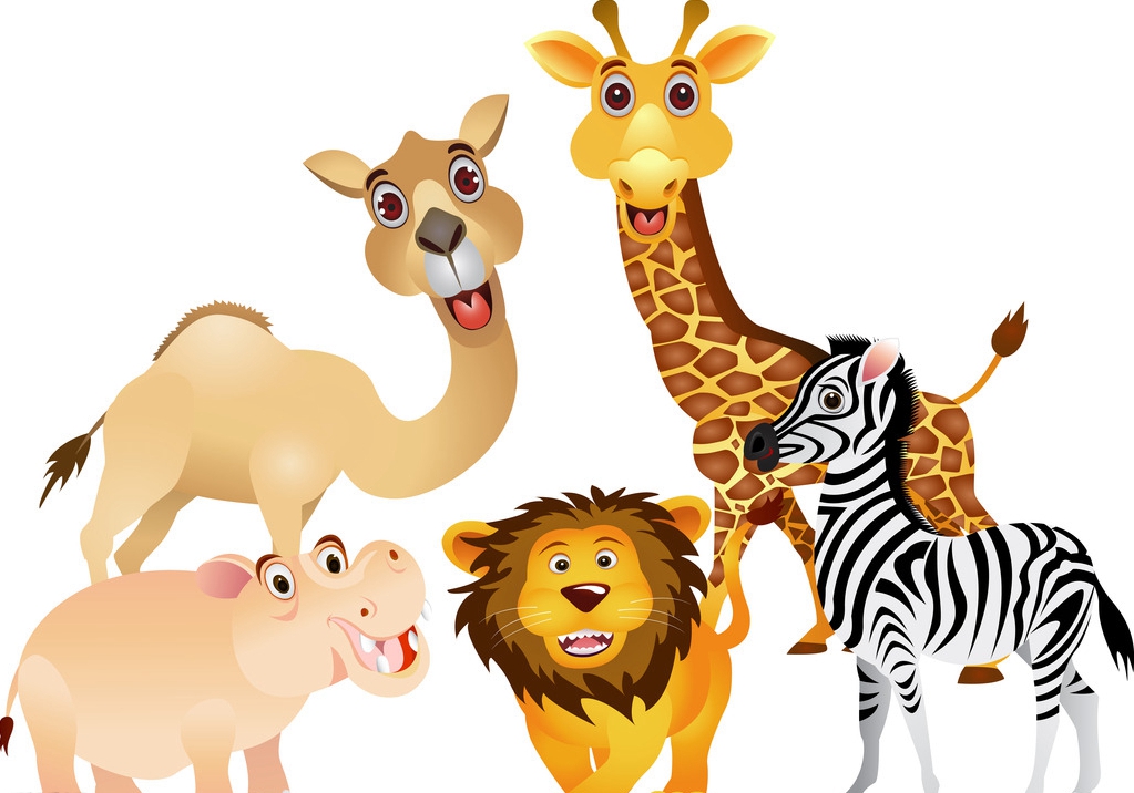 英语中那些你不知道的冷知识(二):动物版