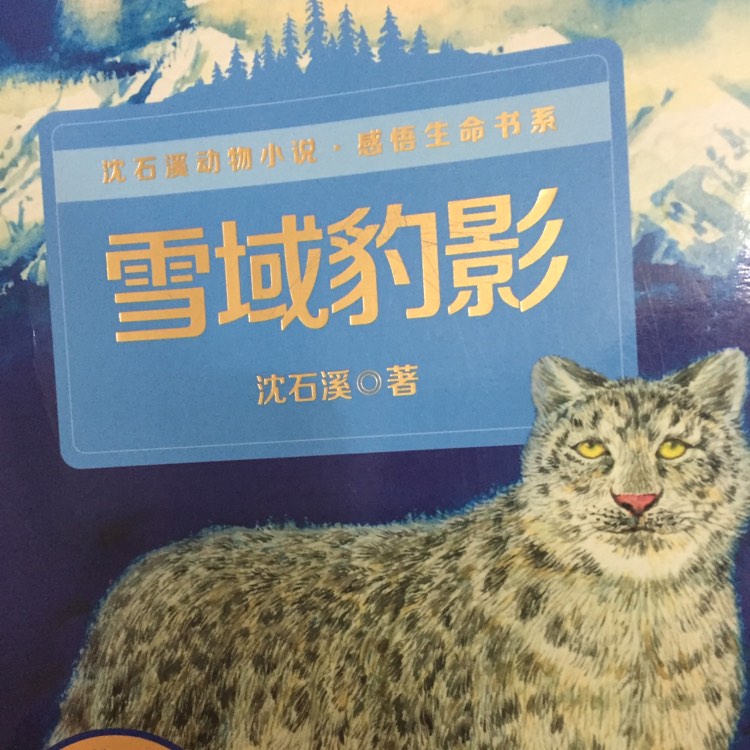 雪域豹影人物介绍图片