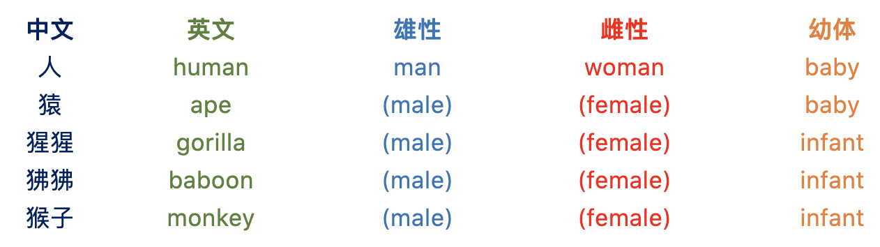 英语